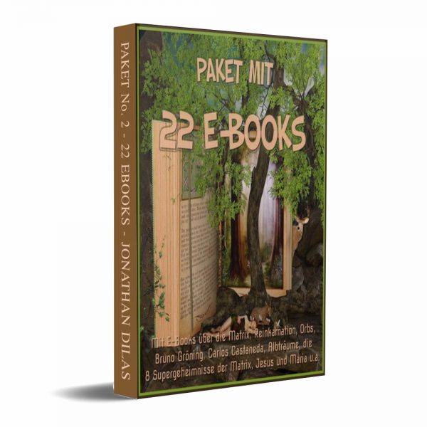 luzides Träumen ebook